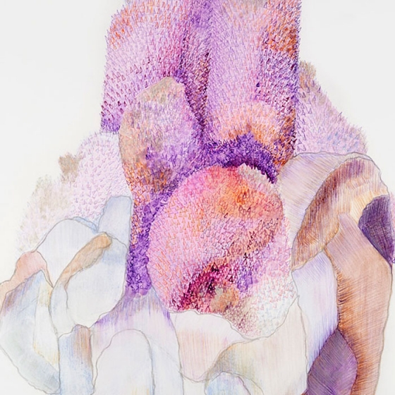 http://story.mirunadragan.com/files/gimgs/th-23_Erratics-Draw3-detail-web_v2.jpg