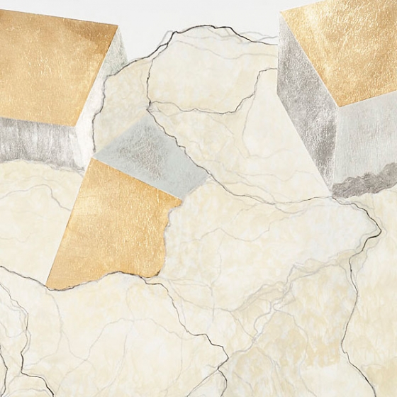 http://story.mirunadragan.com/files/gimgs/th-23_Erratics-Draw1-detail-web_v3.jpg