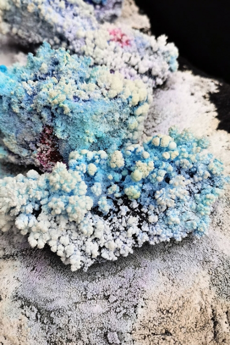 https://story.mirunadragan.com/files/gimgs/th-71_IMG_20210124_143311_Flower_01_W.jpg